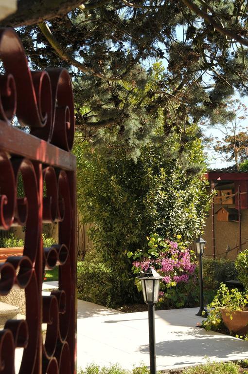 Chambre D'Hotes Le Cypres Bleu Roussillon  Ngoại thất bức ảnh